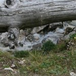 Rundweg Elmautal - Filzmoosalm - Loosbühelalm - Kurzmeldung  Elmautal-053-150x150