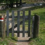 Rundweg Elmautal - Filzmoosalm - Loosbühelalm - Kurzmeldung  Elmautal-061-150x150