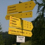 Rundweg Elmautal - Filzmoosalm - Loosbühelalm - Kurzmeldung  Elmautal-062-150x150
