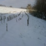 Winterspaziergang zwischen Haibach und Bessenbach - Allgemein  IMG00532-20130209-1150-150x150