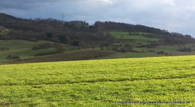 Spaziergang zum Ludwigstempel im Wechselspiel von Wolken, Sonne und Wind - Kurzmeldung  20150111_141205-400x220