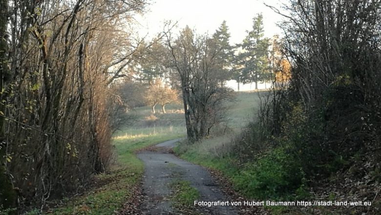 Kurzer 2-Tage-Tripp nach Miltenberg und Hardheim - Baden-Württemberg Bayern Deutschland Outdoor-Erlebnisse RSS-Feed Wohnmobil-Touren  IMG_20181117_142549-780x440