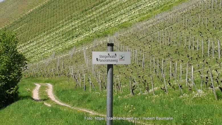Drei wunderschöne Radtouren mit Pedelec rund um Iphofen im Steigerwald - Andere Themenradwege Bayern Burgen und Schlösser Deutschland Outdoor-Erlebnisse Radtouren RSS-Feed Wohnmobil-Touren Wohnmobilstellplätze  31-IMG_20220508_123128-780x440